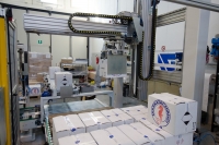 caricatore-pancali-e-pallettizz-automatic-3.jpg (300)